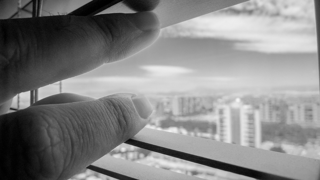 楼市上涨最新动态,市场趋势分析与未来展望