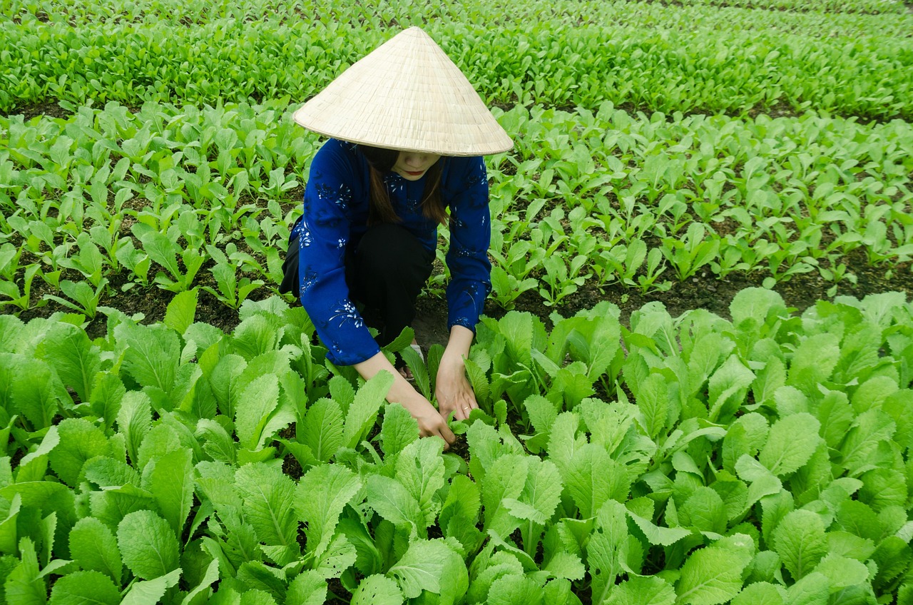 最新农药招聘信息与行业发展动态解析