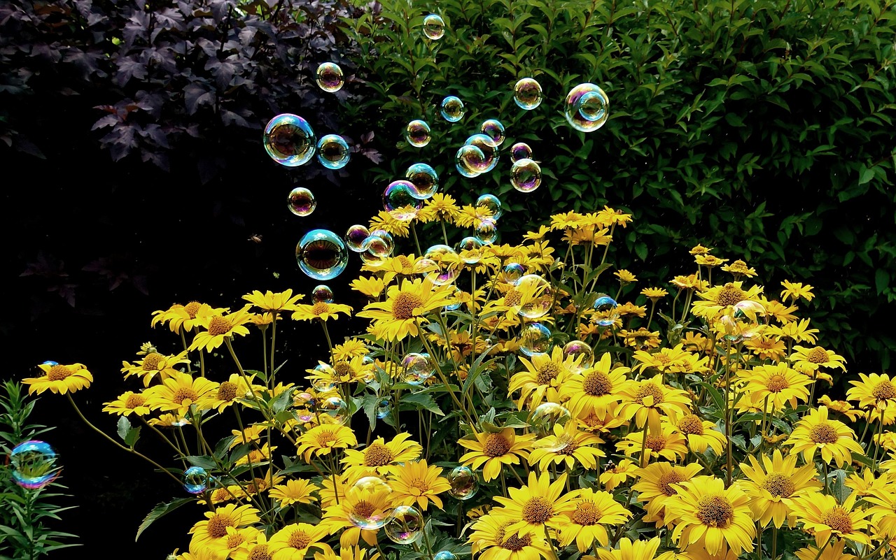 无为停电最新信息详解及更新动态